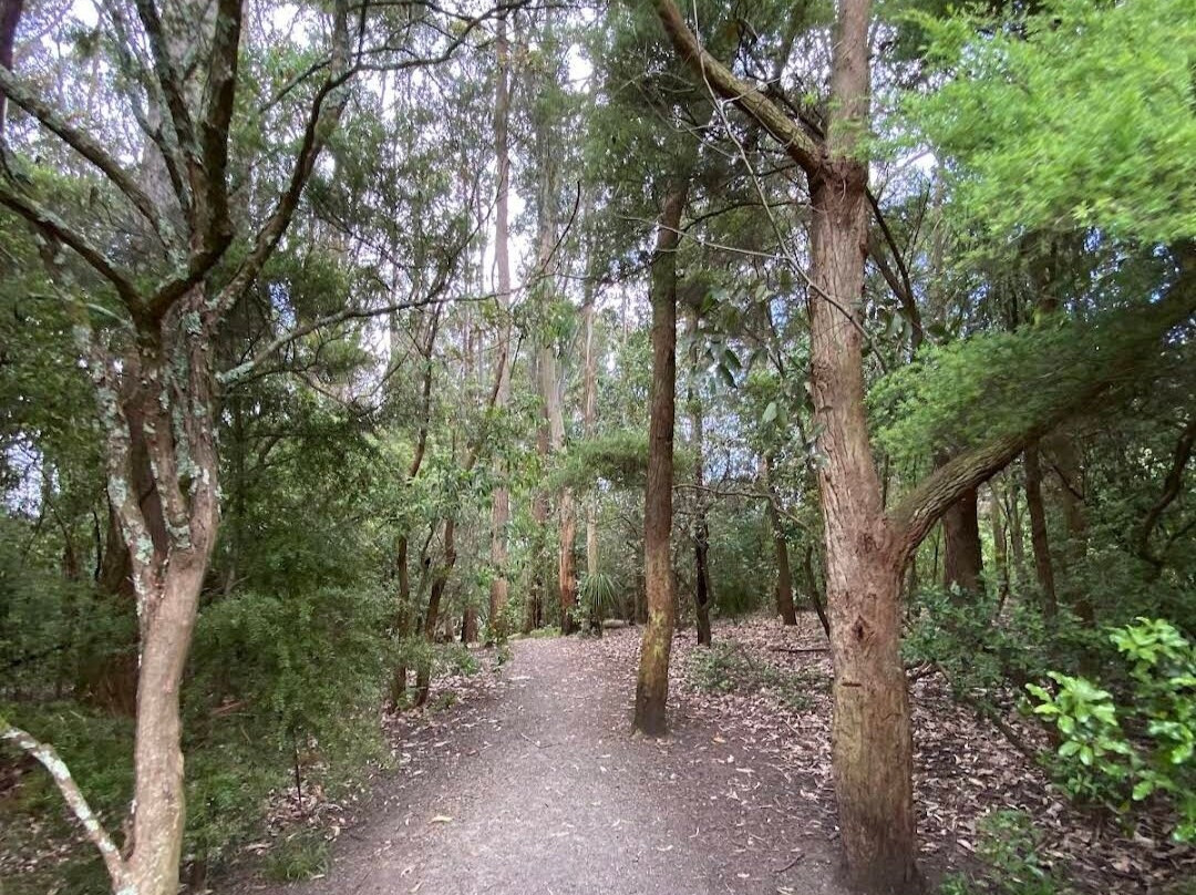 Waiatarua Reserve景点图片