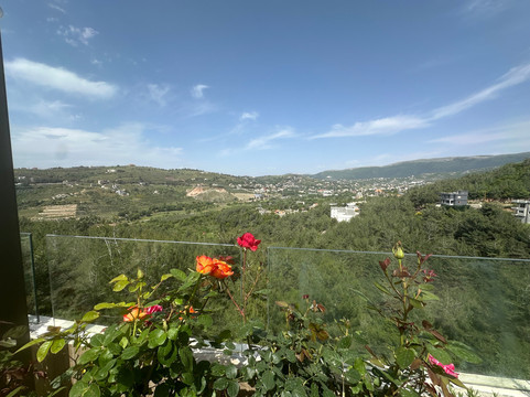 Discover Lebanon Tours-贝鲁特必去景点