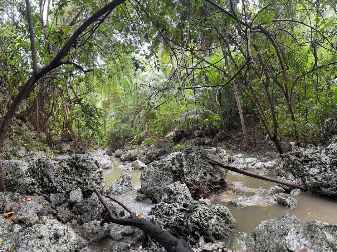 Wild Barbados-Cattlewash必去景点