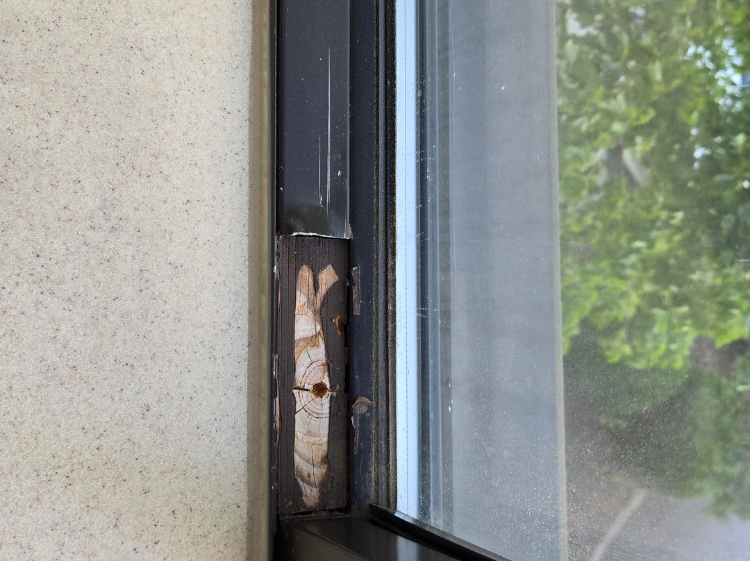 SpringHill Suites by Marriott Greensboro主图