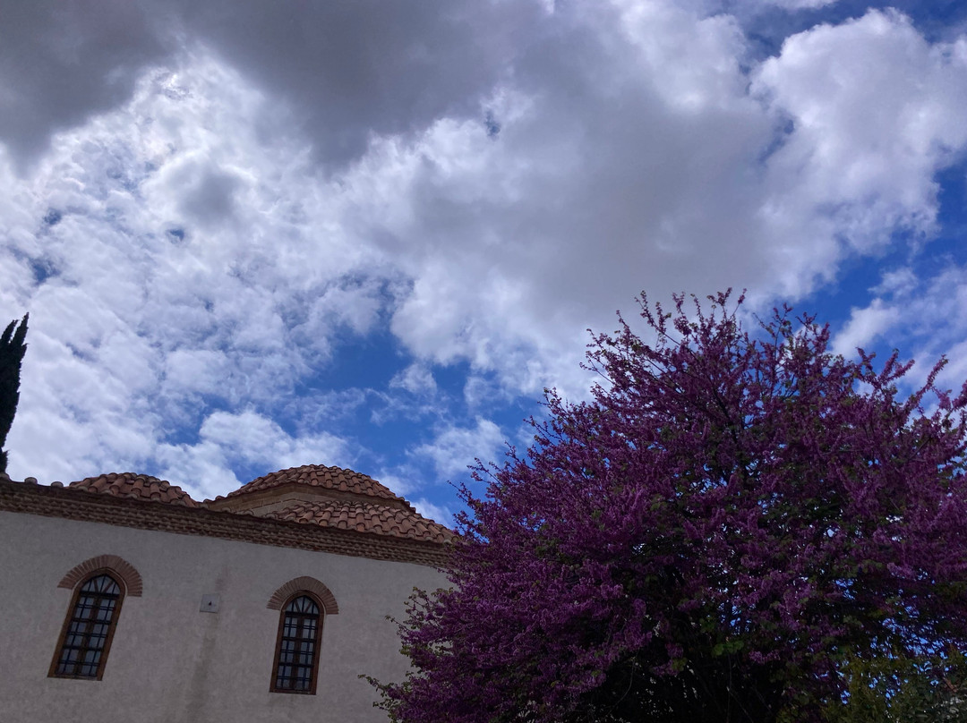 Minibus Athens Tours-雅典必去景点