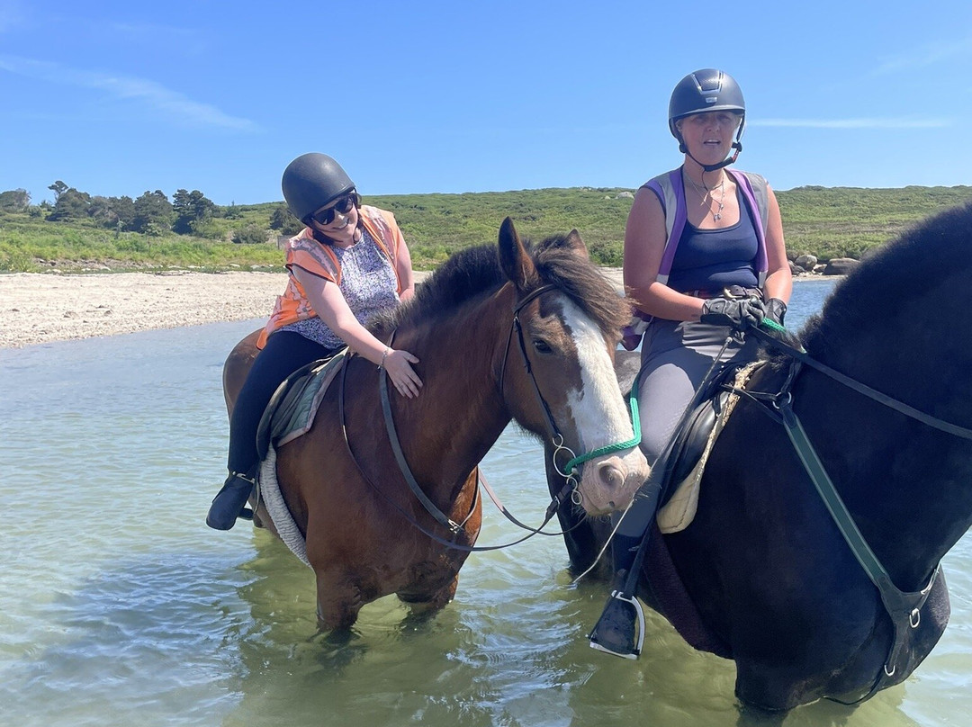 St Mary's Riding Centre-St Mary's必去景点