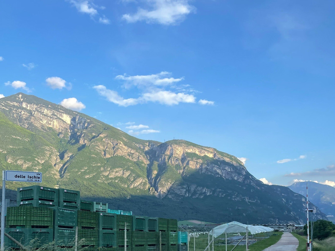 Agriturismo Locanda De L'arguta主图