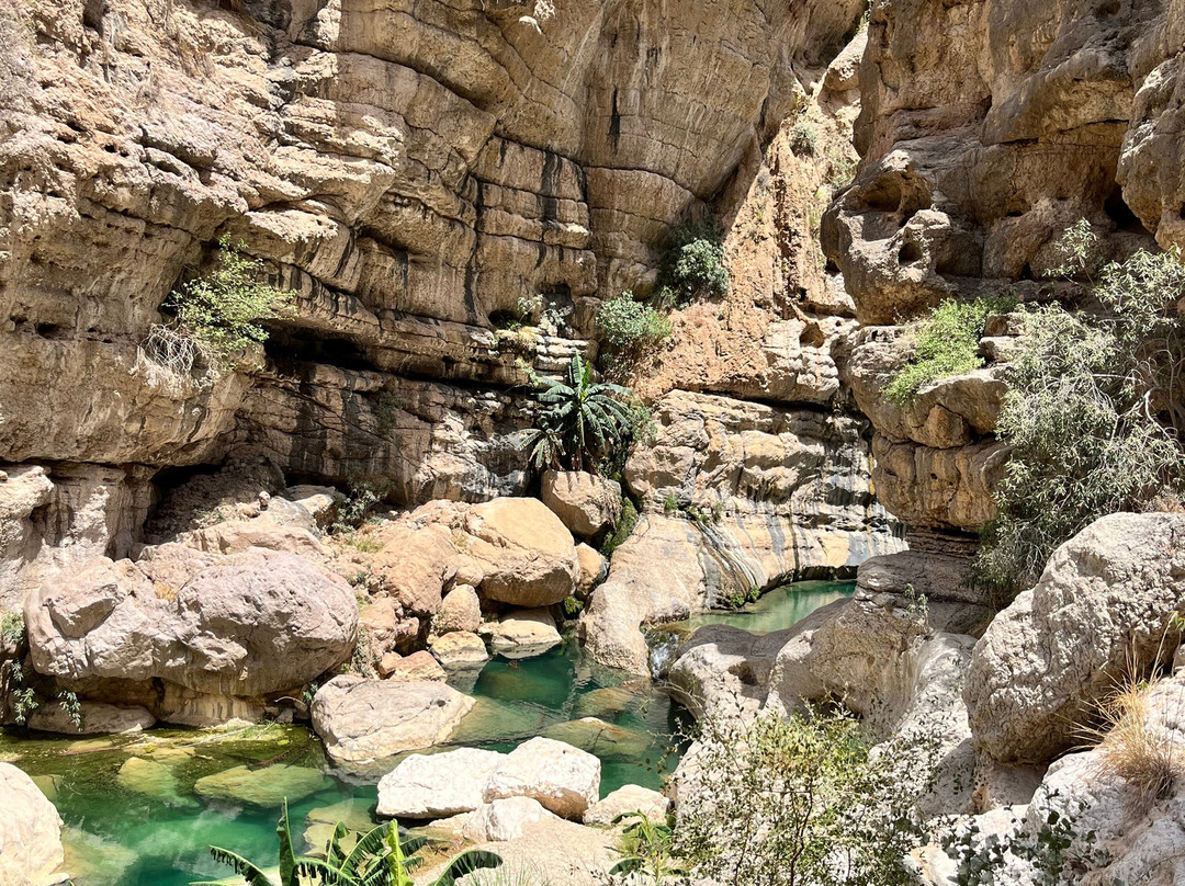 Wadi Tiwi景点图片