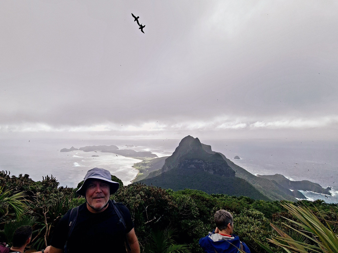 Lord Howe Environmental Tours-豪勋爵群岛必去景点