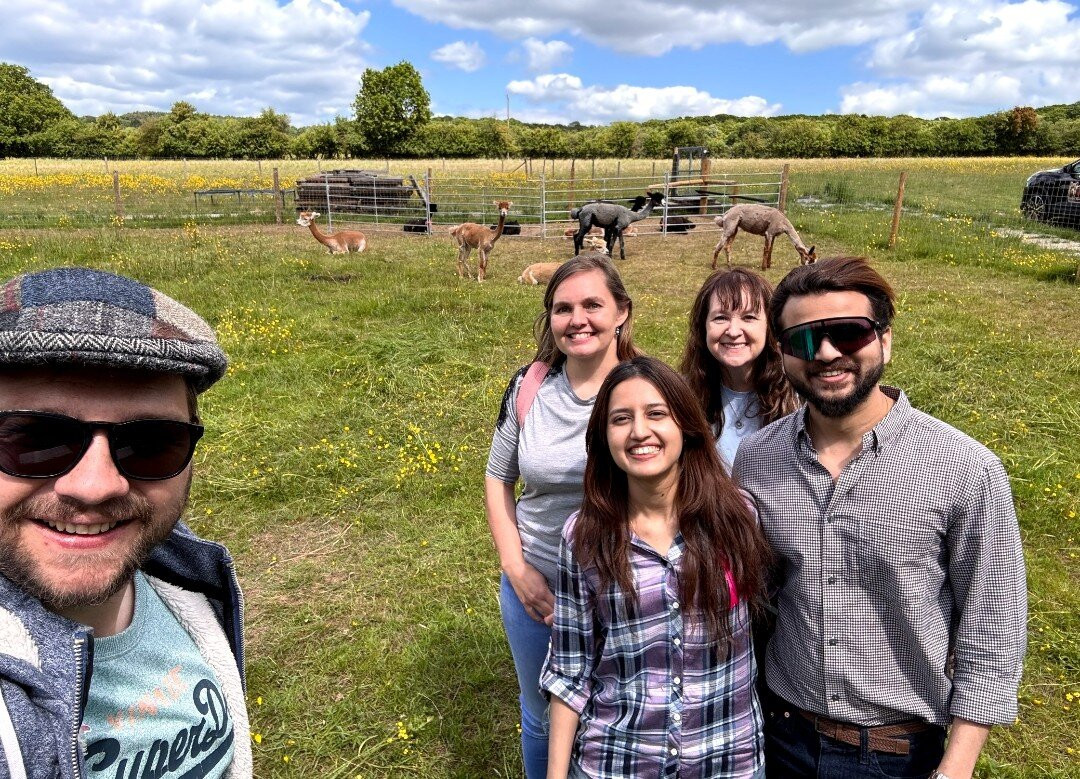 London Alpacas景点图片