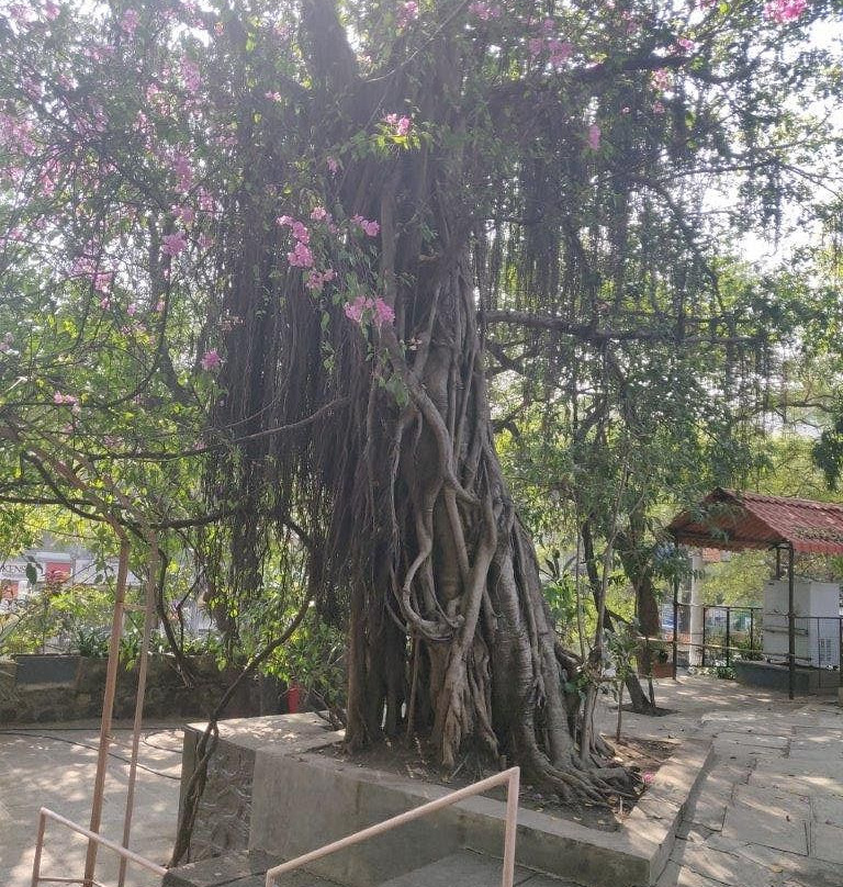 Pataleshwar Cave Temple景点图片