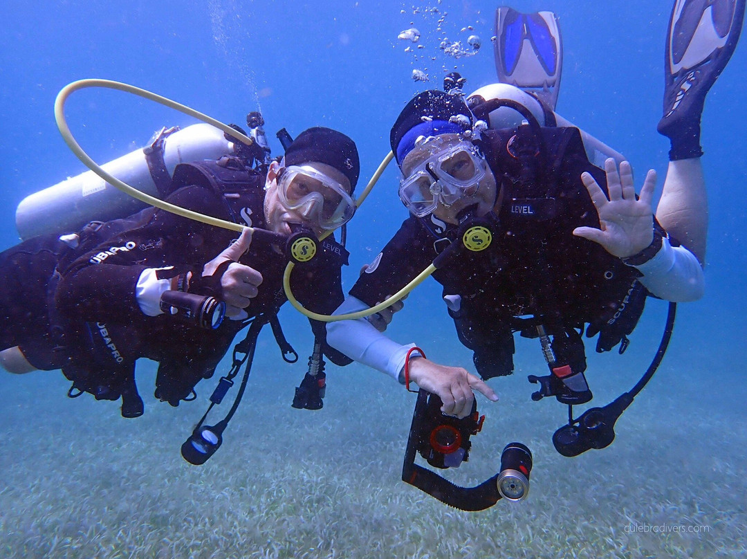 Culebra Divers-库莱布拉岛必去景点