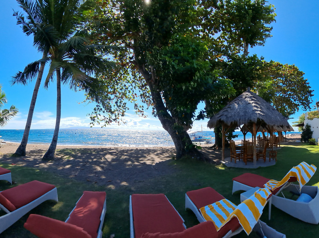 Pura Vida Beach & Dive Resort主图