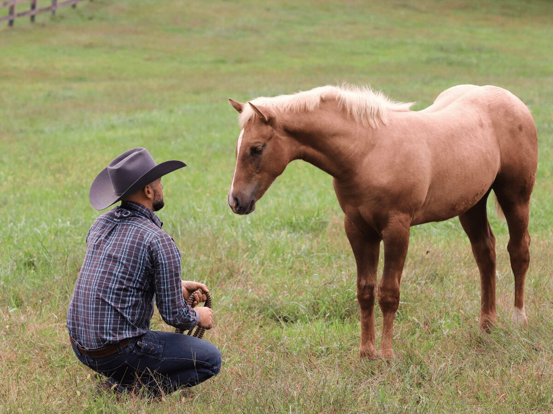 Double Dan Horsemanship-Midway必去景点