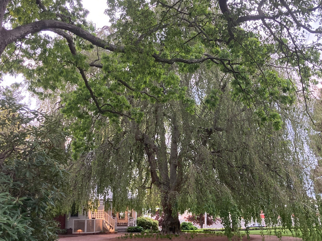 Margin Street Inn主图