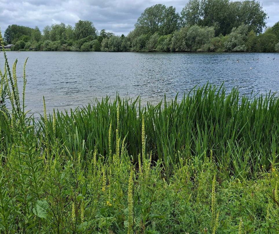 Langford Lakes Nature Reserve-Steeple Langford必去景点