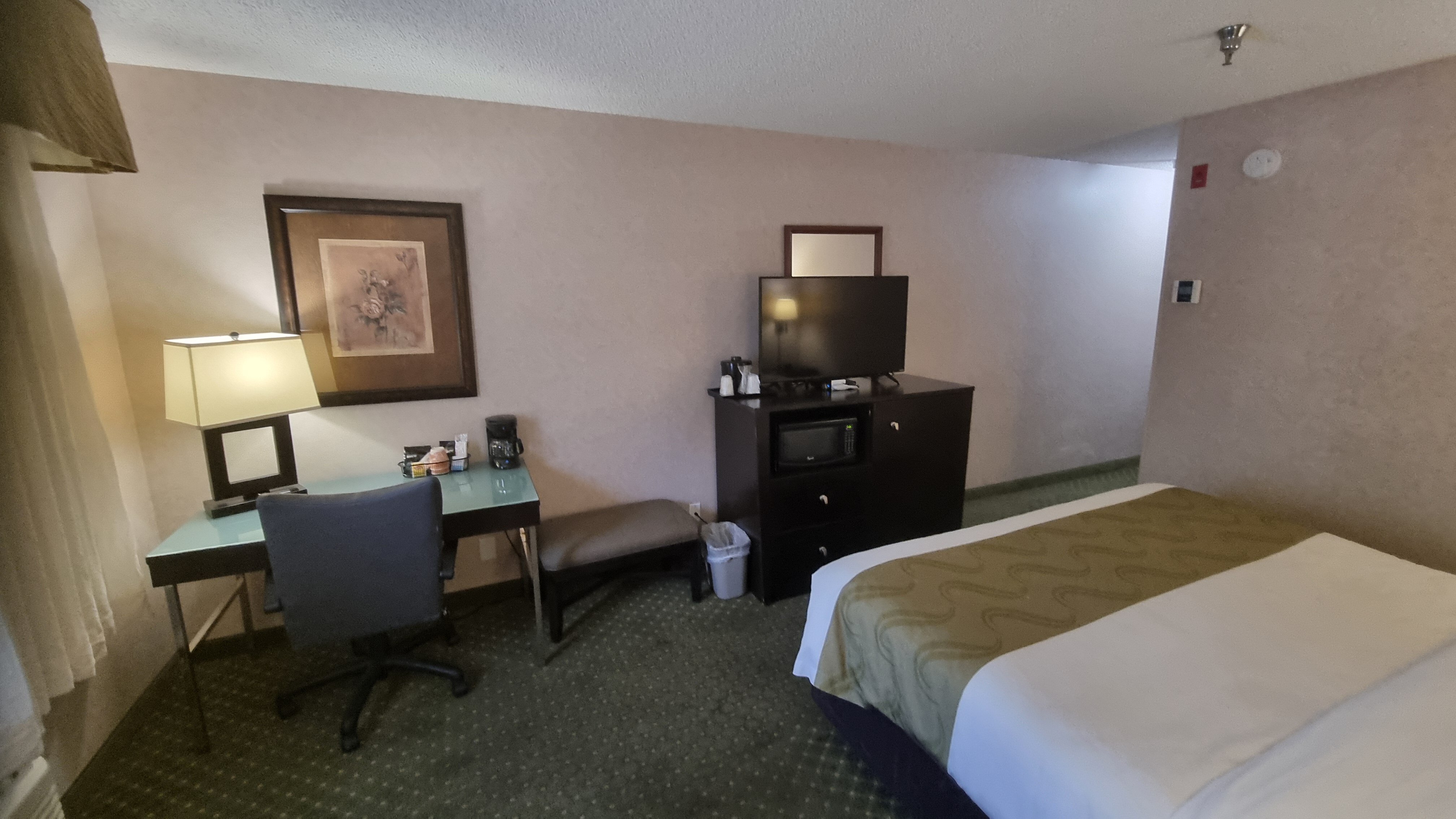 Quality Inn & Suites-客卧