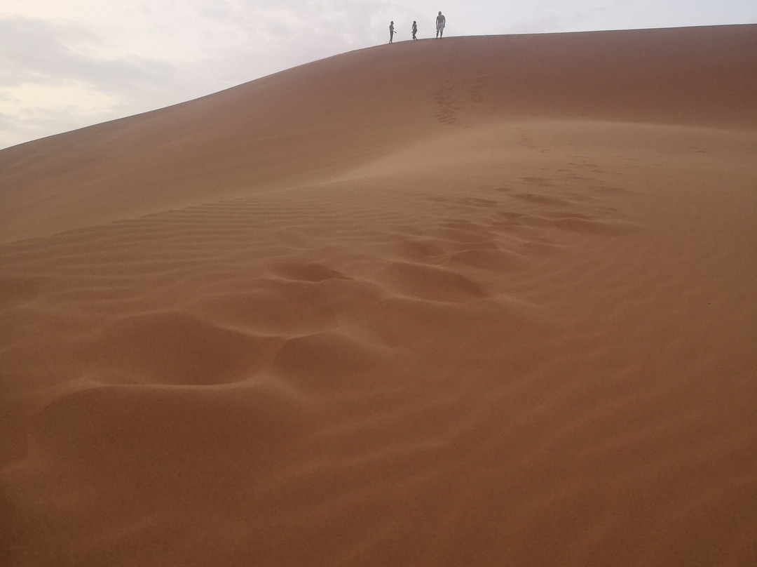 Kasbah Du Berger主图