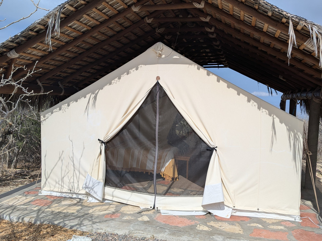 Rancho Cacachilas-El Sargento必去景点