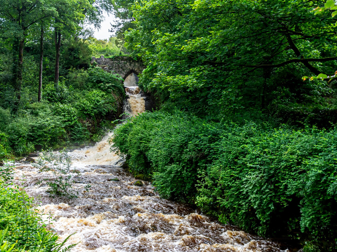 Ingleborough Estate Nature Trail景点图片
