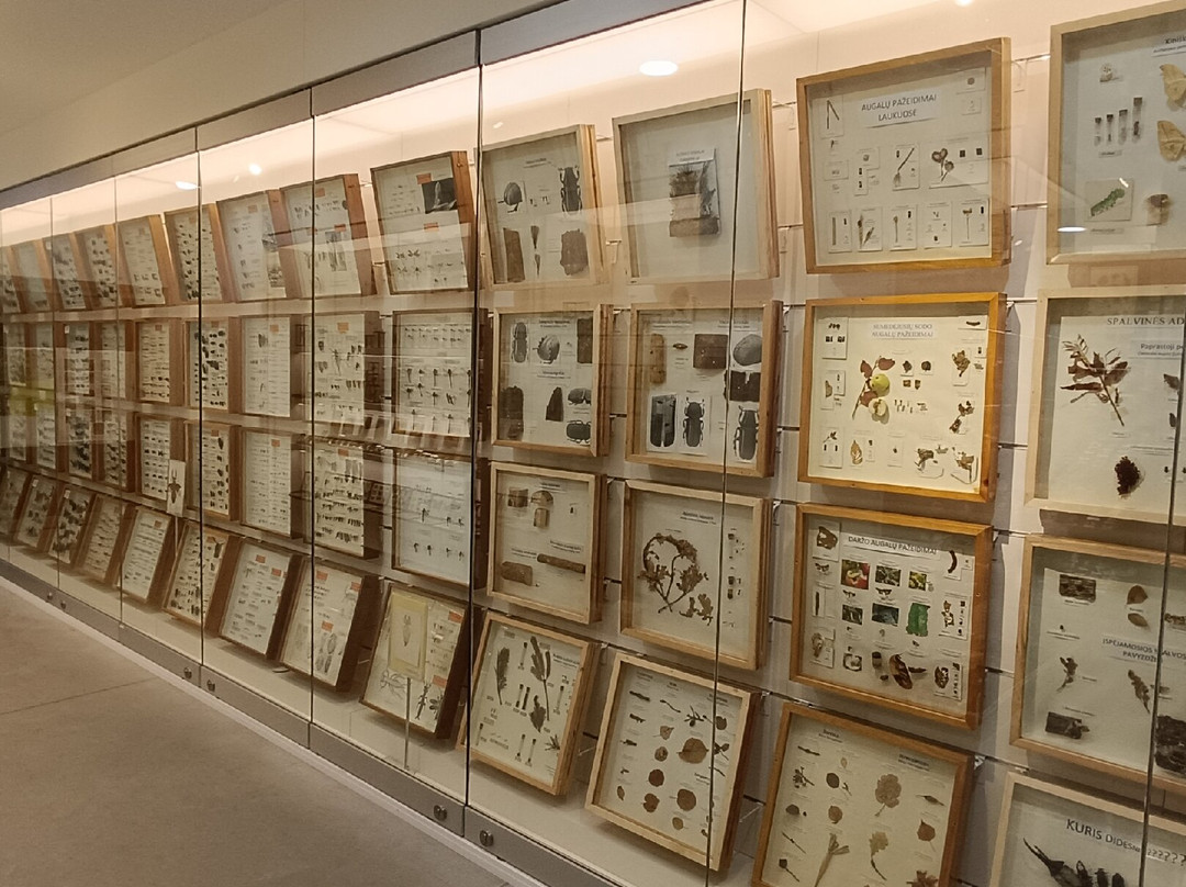 Vilnius University Zoological Museum-维尔纽斯必去景点