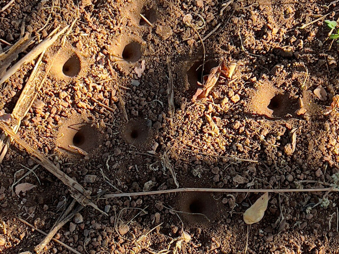 Impalila Island-Katima Mulilo必去景点