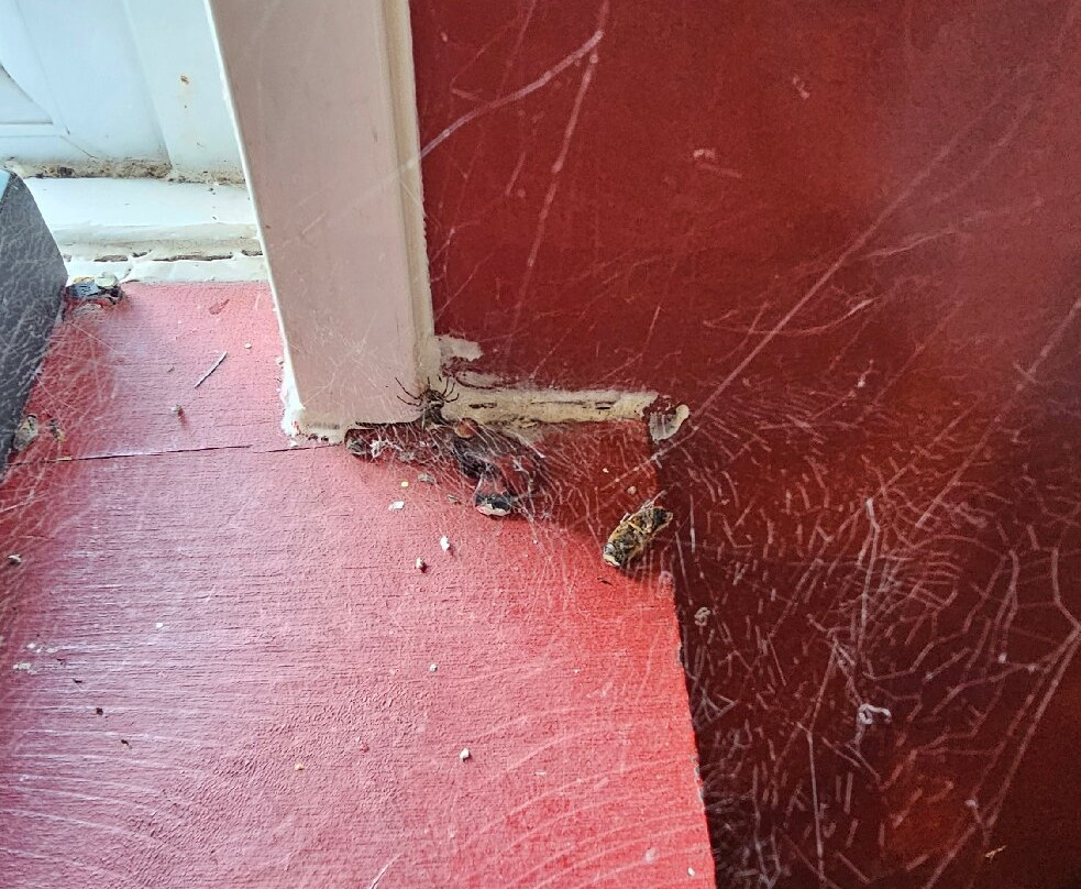 The Beaufort Coaching Inn & Brasserie主图