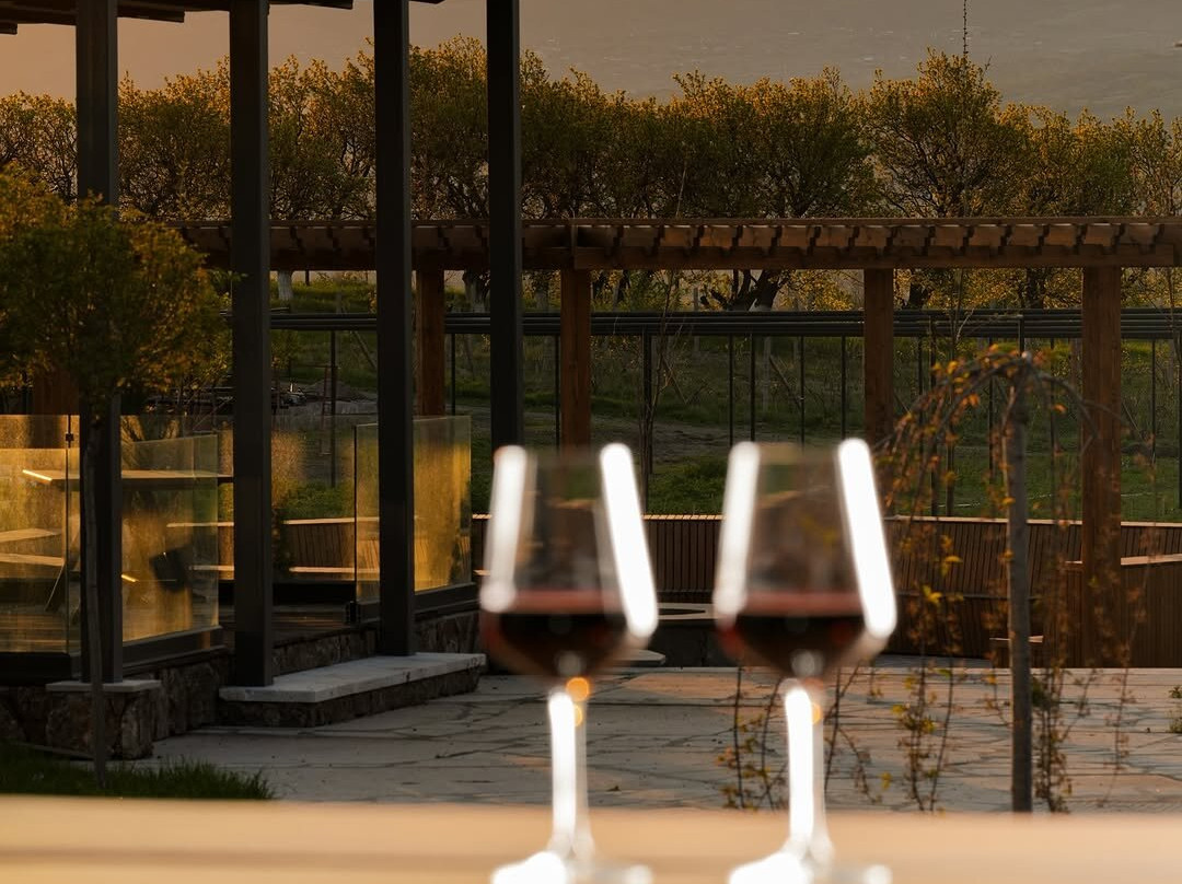 Vineyard