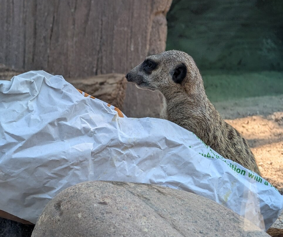 Zoo Karlsruhe-卡尔斯鲁厄必去景点