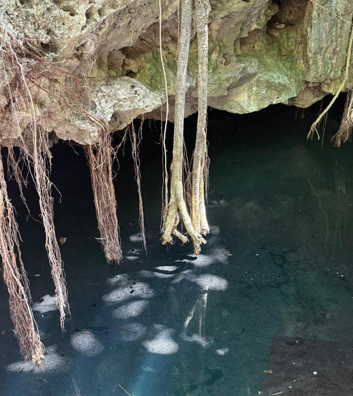 Wakax Hacienda - Cenote & Boutique Hotel主图