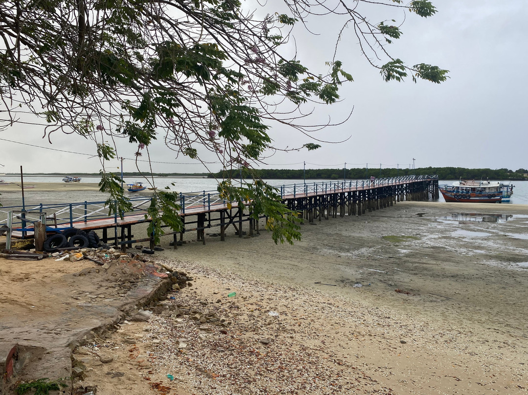 Pousada Peixe Galo主图