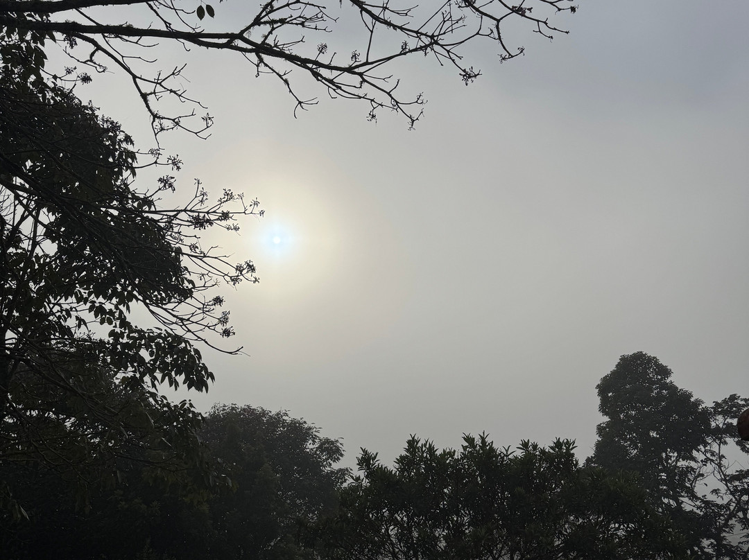 Contemplario-Cunha必去景点