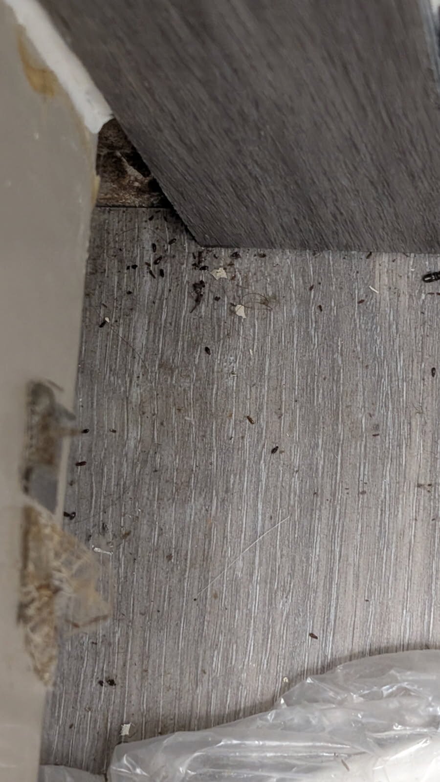 Best Western Crossroads Inn-官方