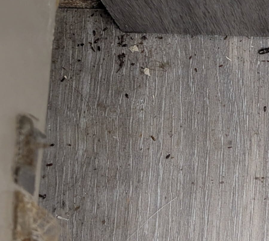 Best Western Crossroads Inn主图