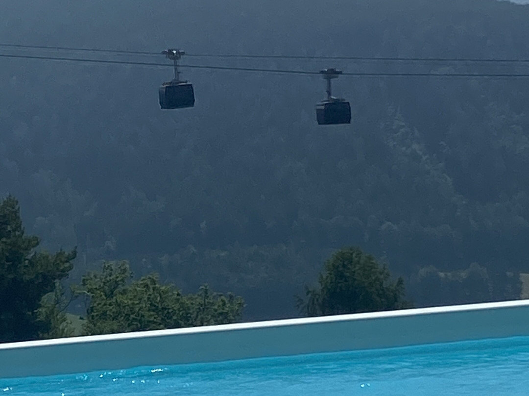 Pippo's Mountain Lodge主图