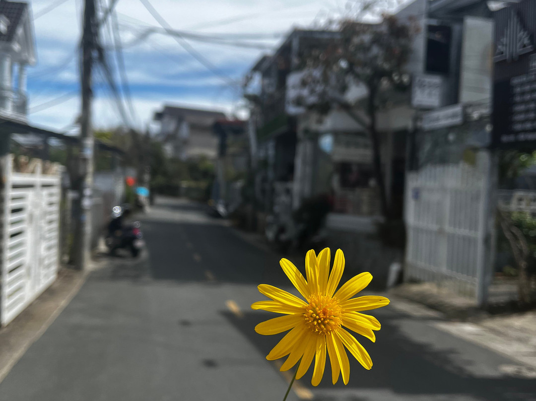 Private Taxi Ho Tram