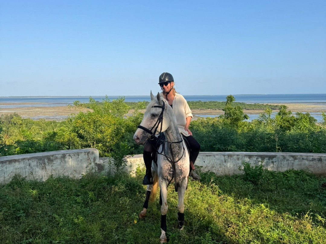 Zanzibar Horse Club-孥归必去景点