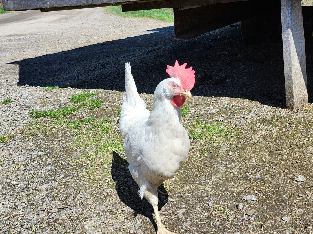 Cité Agricole-St Augustin de Desmaures必去景点