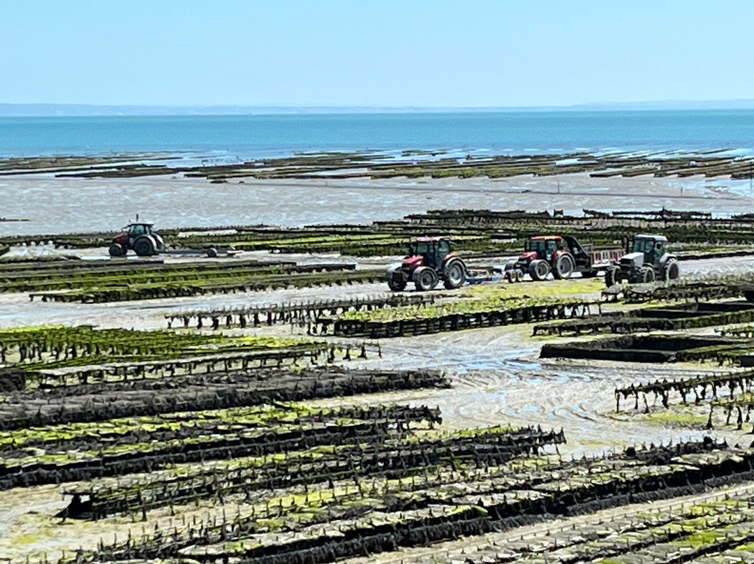 Port de le Houle-康卡勒必去景点