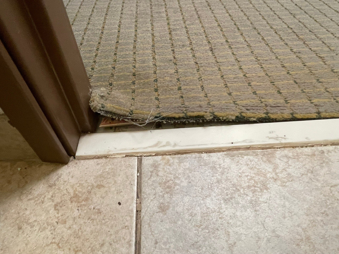 Holiday Inn Express & Suites Jacksonville By IHG主图