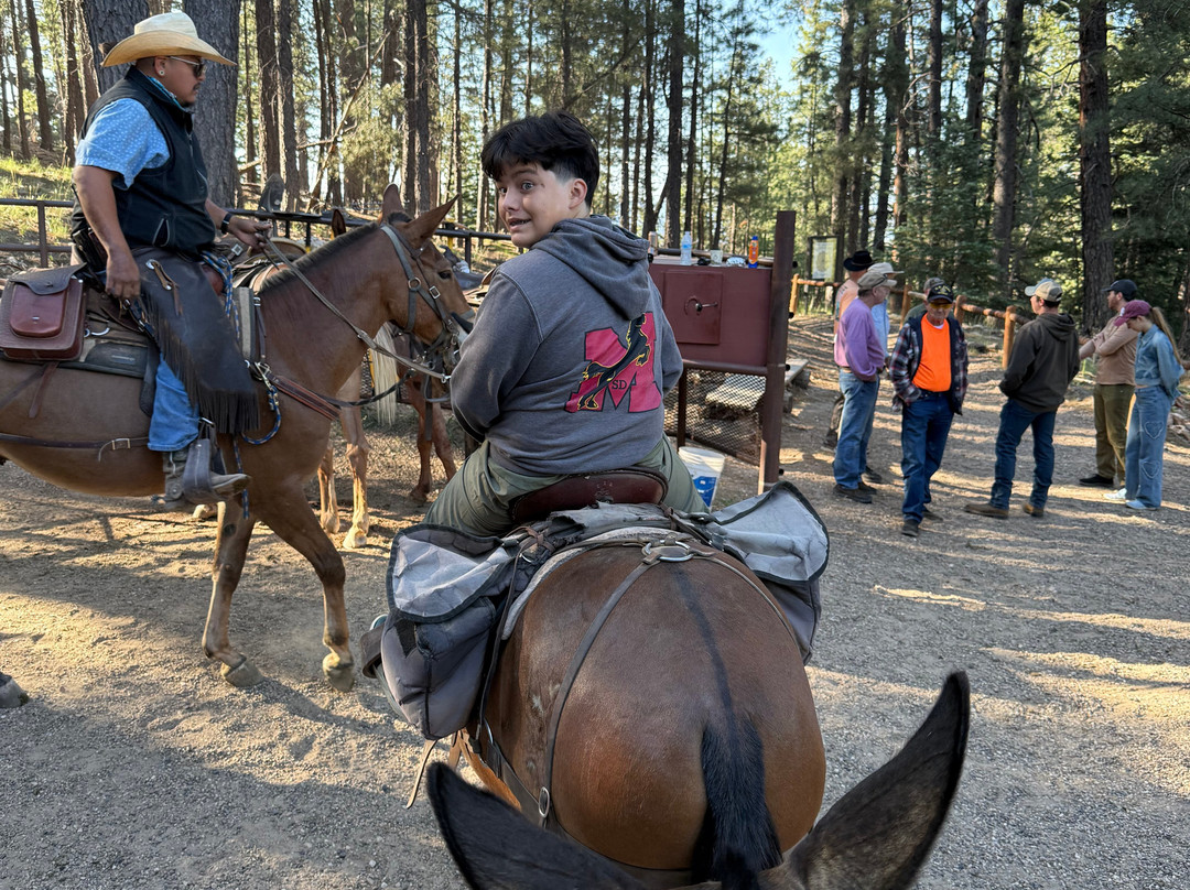 Canyon Trail Rides-大峡谷国家公园必去景点