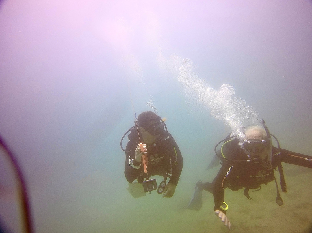 AegeanSeals Diving Center-Khalkis必去景点