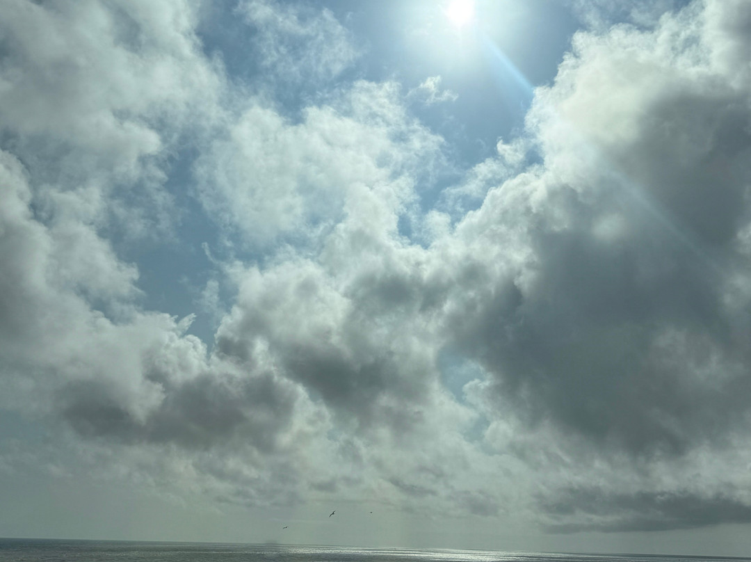 Porthcawl Surf School-Porthcawl必去景点