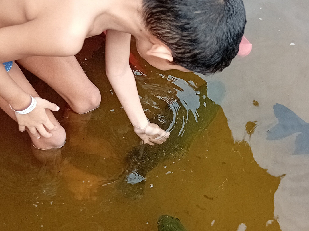 Lagoa dos Tambaquis-阿拉卡茹必去景点