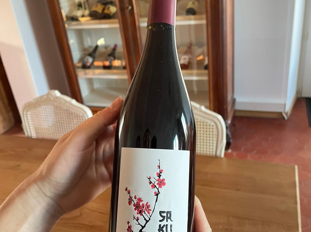 Chateau Maucoil-Orange必去景点