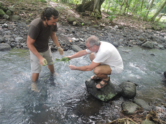 Vamos Fugir? Viagens e Expedições-阿玛考德佩拉必去景点