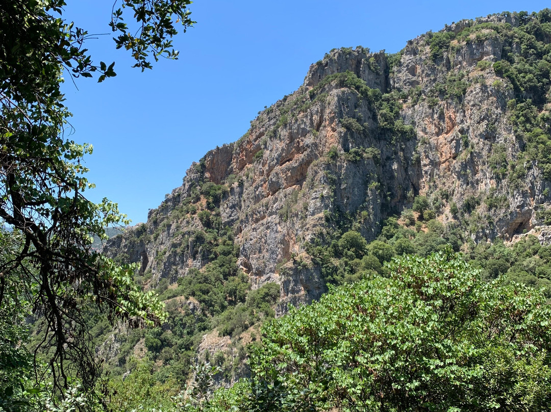 Lousios Gorge-Arkadia Region必去景点