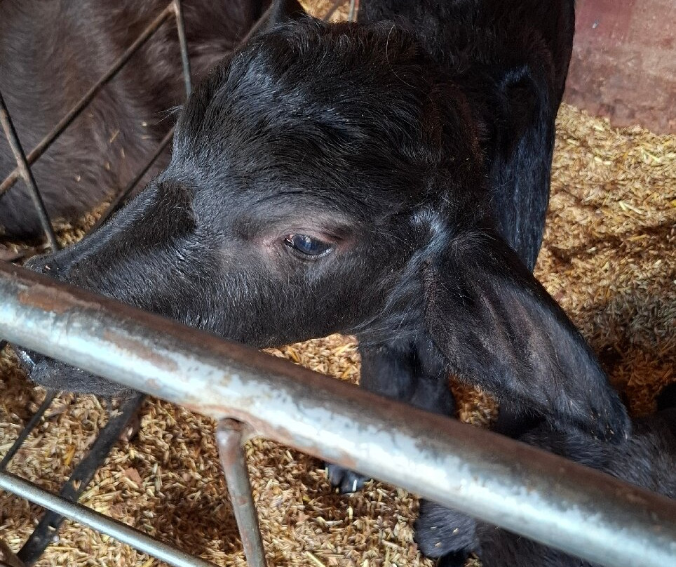 Perola da Serra-Itanhandu必去景点