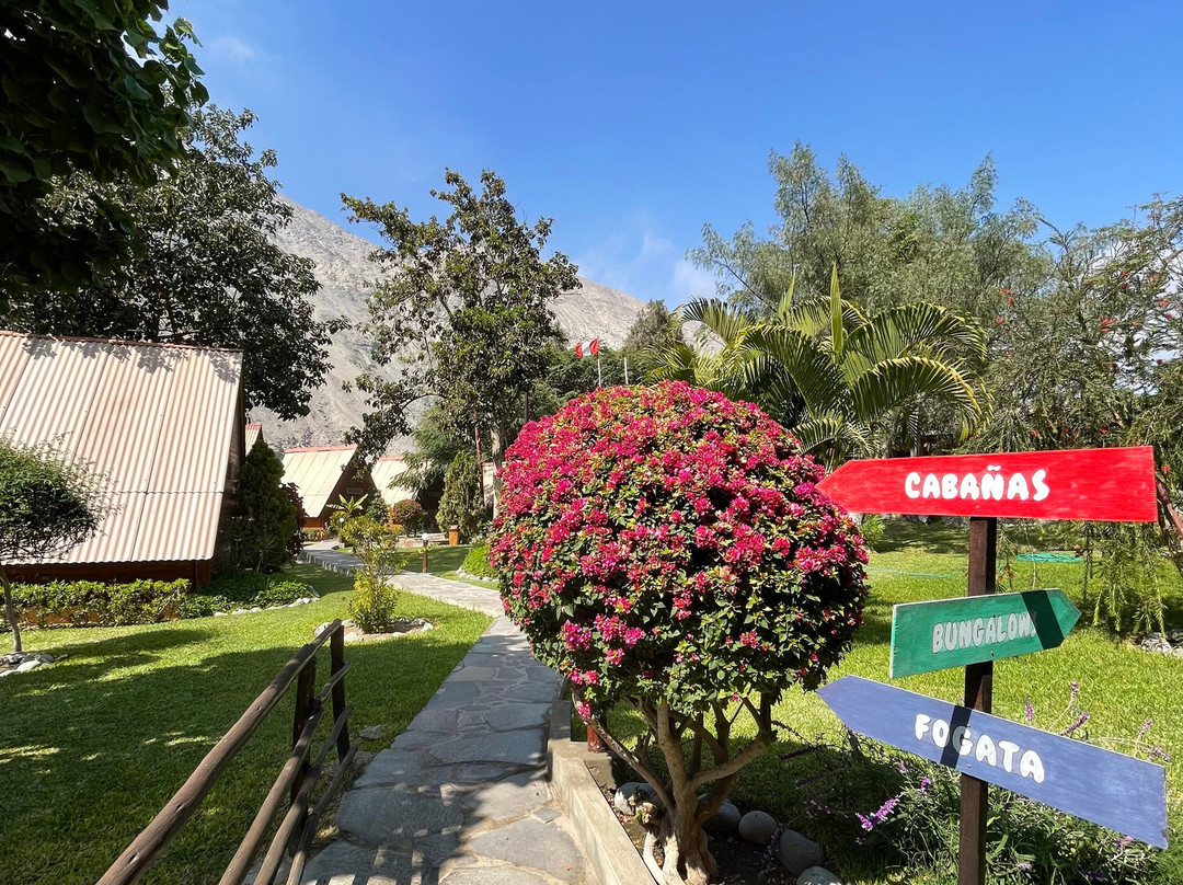 La Confianza Hotel主图