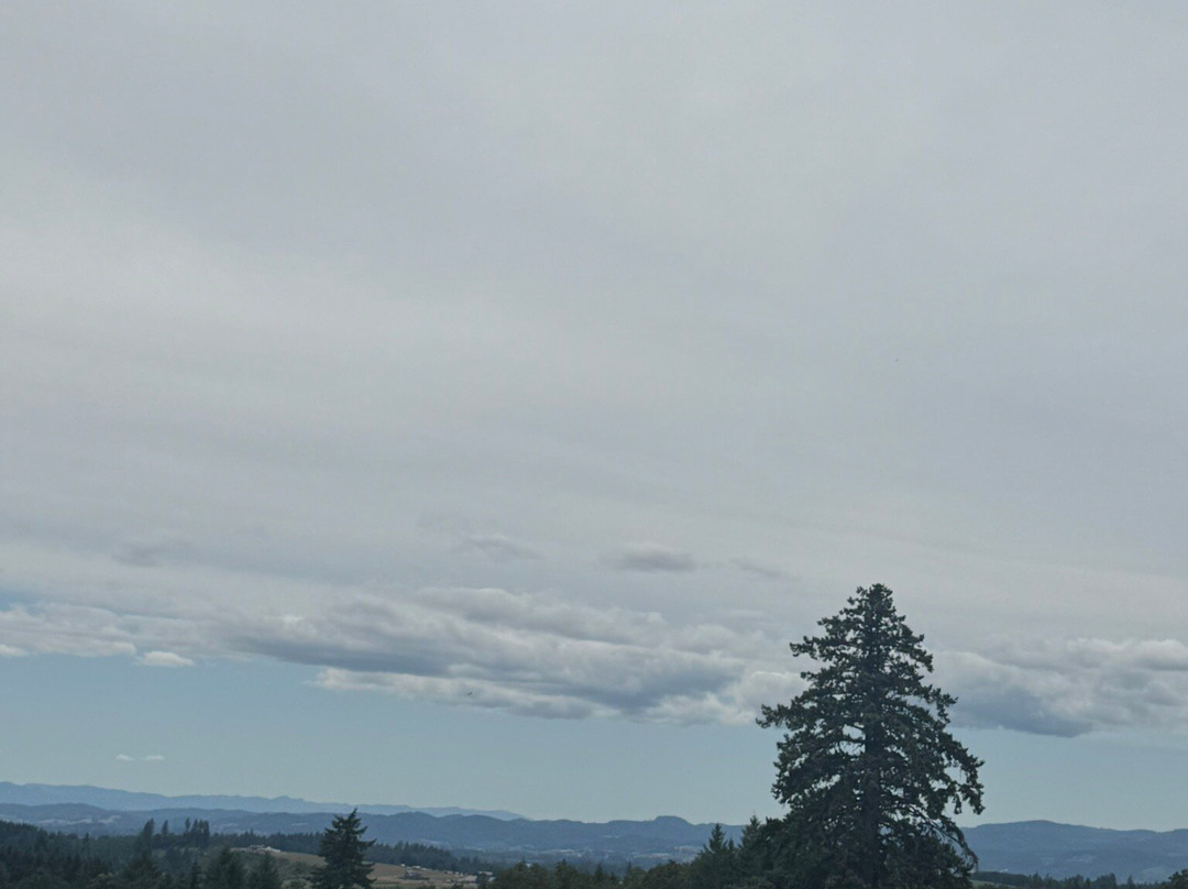 Alexana Winery-纽伯格必去景点