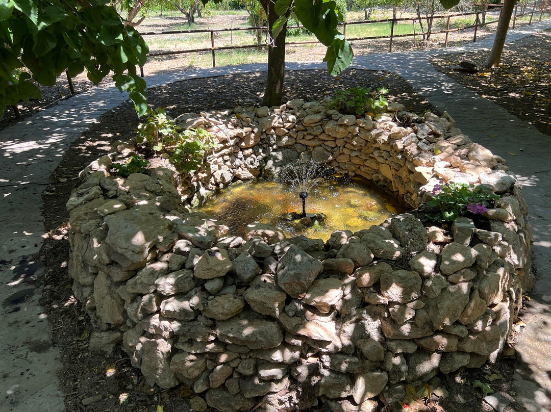 Butterflies Nature Reserve-帕罗斯岛必去景点