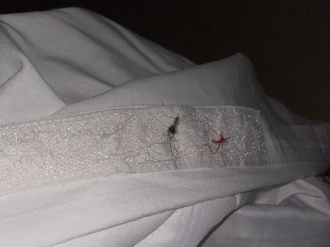 总统俱乐部酒店主图