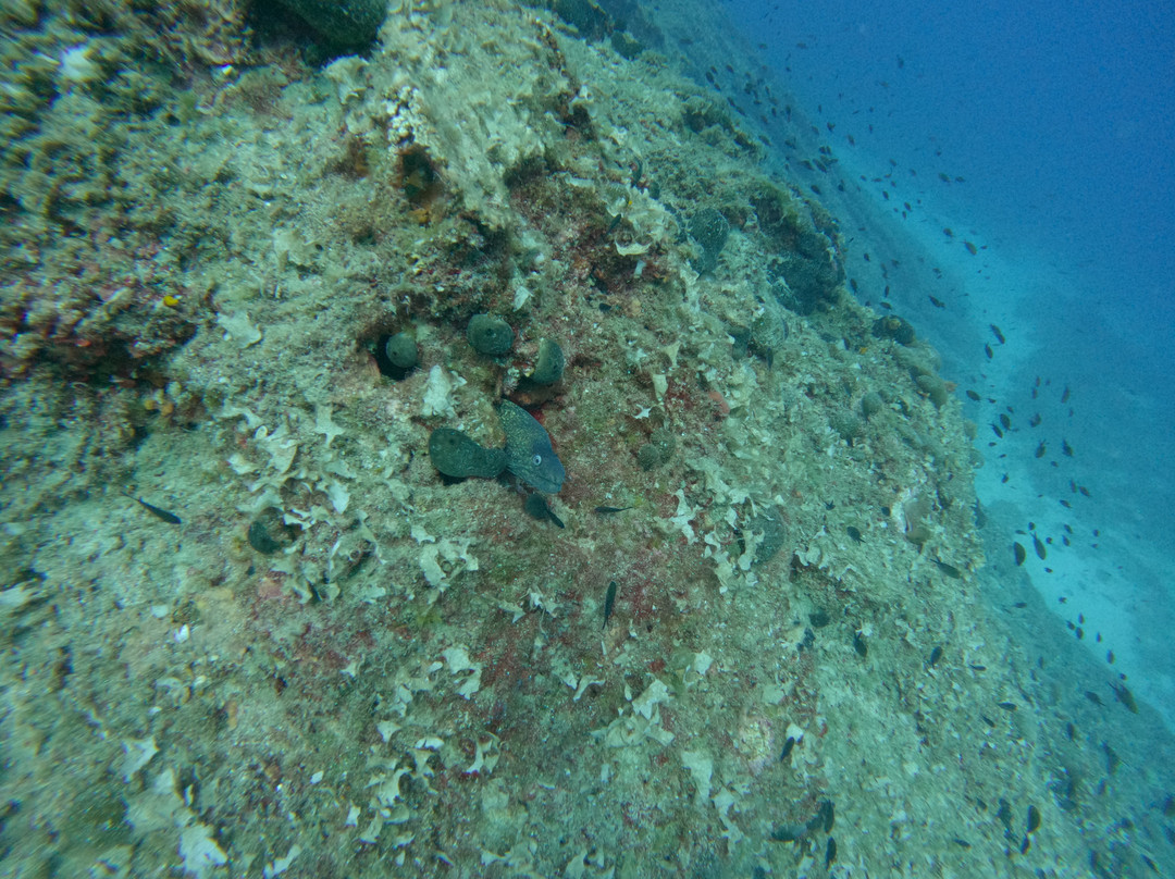 Blue Yard Hub-Porto Rafti必去景点