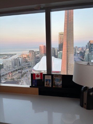 多伦多万豪德尔塔酒店-酒店景观